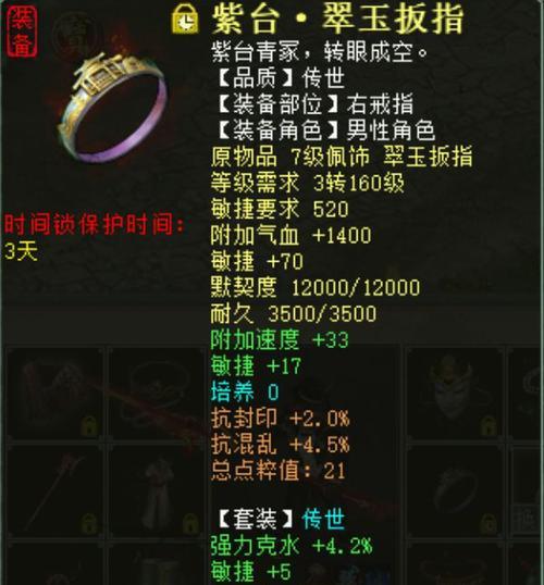 天龙披风技能选择攻略（如何选择天龙披风技能以提升角色战斗能力）