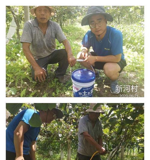 妙金最强出装顺序攻略（打造无敌装备搭配，征服战场）