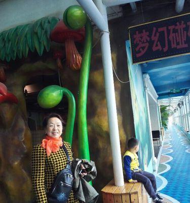 手机版空中花园攻略游戏（解谜策略玩法让你畅游空中花园的精彩冒险）