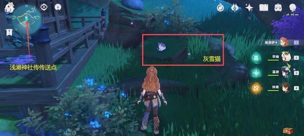 原神救动物攻略（亲历奇遇，探索原神中的动物保护任务与宝藏）