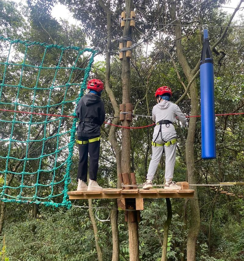 穿越丛林攻略（以团建小游戏为媒介，解锁丛林深处的秘密）